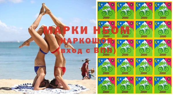 шишки Медвежьегорск