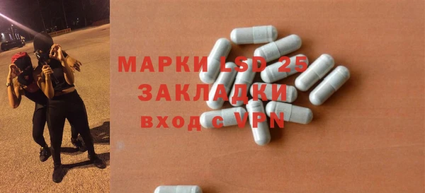 шишки Медвежьегорск