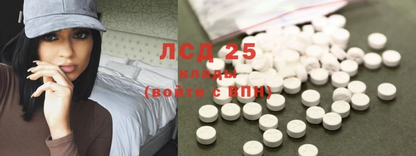 шишки Медвежьегорск
