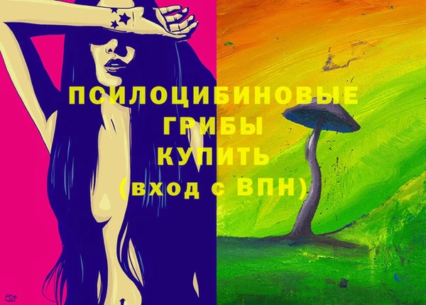 ECSTASY Мегион