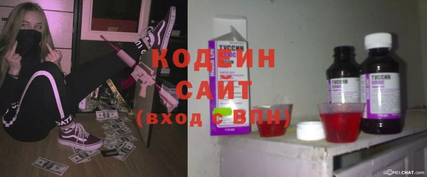 шишки Медвежьегорск