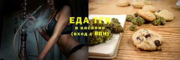 шишки Медвежьегорск