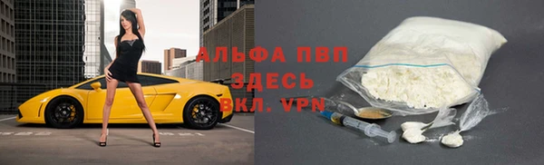шишки Медвежьегорск