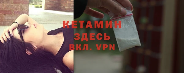 шишки Медвежьегорск