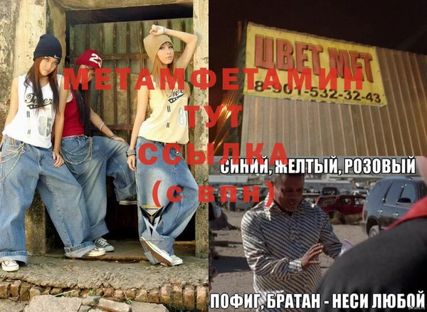 шишки Медвежьегорск