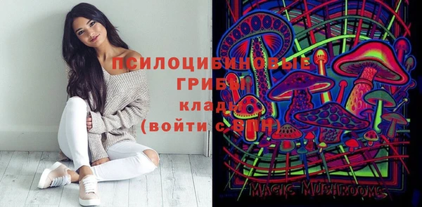 2c-b Медногорск