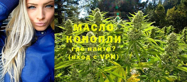 шишки Медвежьегорск