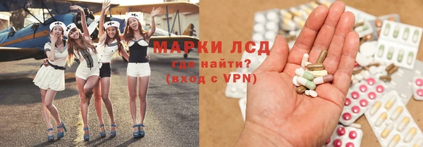 шишки Медвежьегорск