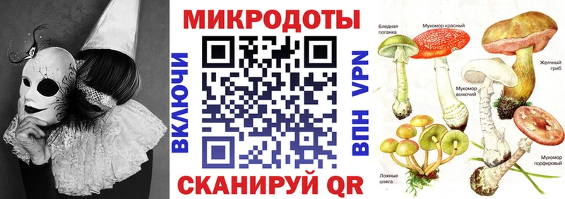 Псилоцибиновые грибы Psilocybe  Шимановск 